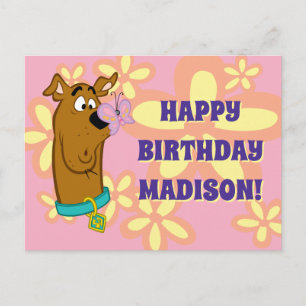 スクービーの鼻の蝶 ポストカード