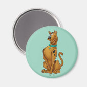 スクービードゥーエアブラシポーズ マグネット (正面/裏面)