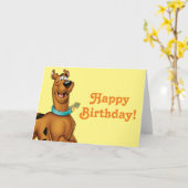 スクービードゥーハッピーウォーク カード (黄色い花)