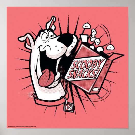 スクービードゥーハーフトーンスクービースナック ポスター (正面)