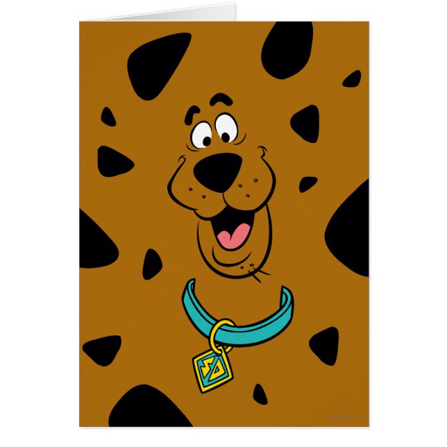 スクービードゥー偽装 (正面)