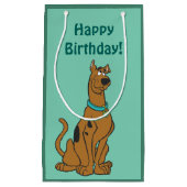 スクービードゥー子犬の目 スモールペーパーバッグ (正面)