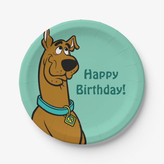 スクービードゥー子犬の目 ペーパープレート (正面)