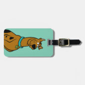 スクービードゥー子犬の目 ラゲッジタグ (正面横)