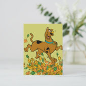 スクービードゥー感謝祭葉の シーズンポストカード (スタンド正面)