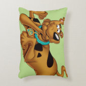 スクービードゥー アクセントクッション (正面(垂直))