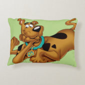 スクービードゥー アクセントクッション (裏面)