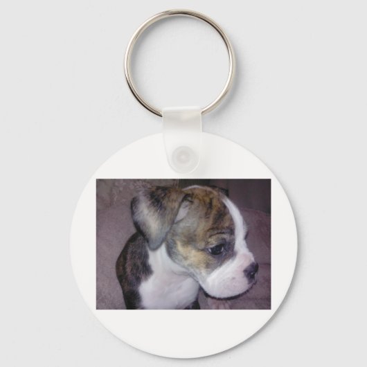 スクービードゥー キーホルダー (正面)