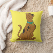 スクービードゥー クッション (ブランケット)