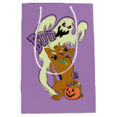 スクービードゥー |スクービードゥーブック ミディアムペーパーバッグ (正面)