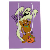 スクービードゥー |スクービードゥーブック ミディアムペーパーバッグ (裏面)