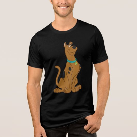 スクービードゥー トライブレンドTシャツ (正面)