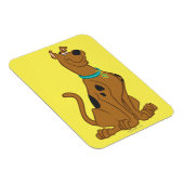 スクービードゥー マグネット (右側)