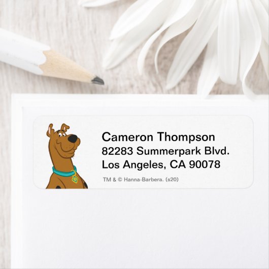 スクービードゥー ラベル (インサイチュ)