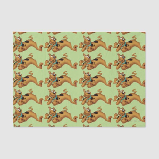 スクービー・ドゥーが横になる 薄葉紙 (正面)