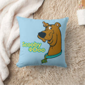 スクービー・ドゥー・ウィンキング クッション (ブランケット)