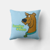スクービー・ドゥー・ウィンキング クッション (裏面)