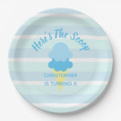 スクープ・アイス・サマーボーイ・誕生日 ペーパープレート (正面)