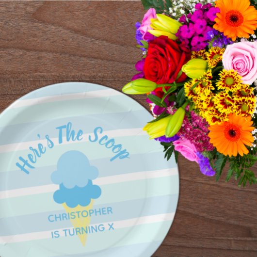 スクープ・アイス・サマーボーイ・誕生日 ペーパープレート