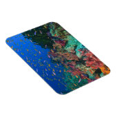 スクーリング妖精のバスレット(Pudanthias) マグネット (右側)