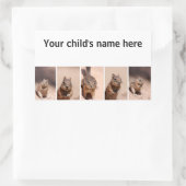 スクールブックシールChipmunk Squirrel 長方形シール (バッグ)