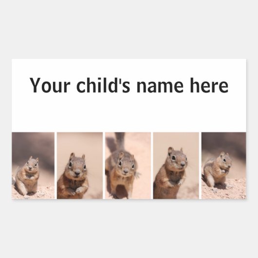 スクールブックシールChipmunk Squirrel 長方形シール (正面)