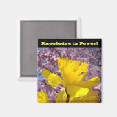 スクールロッカー磁石ナレッジはパワー！ マグネット (正面/裏面)