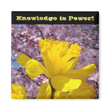 スクールロッカー磁石ナレッジはパワー!