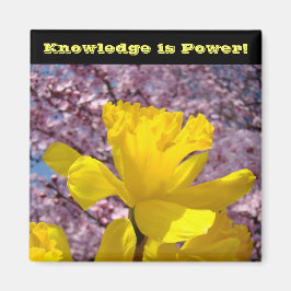 スクールロッカー磁石ナレッジはパワー！ マグネット