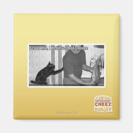 スクー信じスは私の マグネット (正面)