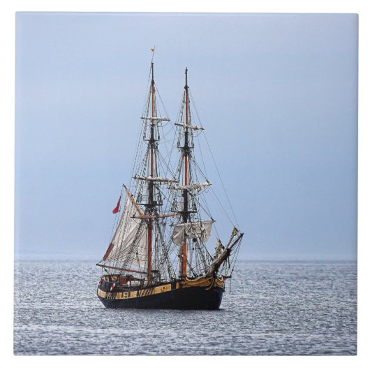 スクー航海のナーブルースカイ タイル (正面)