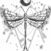 スケッチのトンボ月明かりのボホスタイル シール (正面)