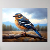 スケッチの東ブルーバードオンザブランチ ポスター (正面)