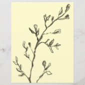 スケッチコテージスクラップブック紙または文房具 (裏面)