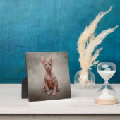 スケッチスフィンクス フォトプラーク (インサイチュ)