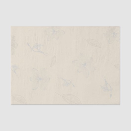 スケッチドッグウッドの枝切り 薄葉紙 (正面)