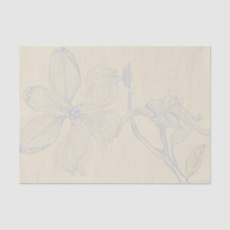 スケッチドッグウッド分岐Lgスケールon羊皮紙 薄葉紙