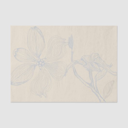 スケッチドッグウッド分岐Lgスケールon羊皮紙 薄葉紙 (正面)