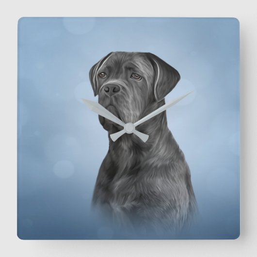 スケッチドッグサトウキビコルソ-マスチイタリアンフ スクエア壁時計 (正面)