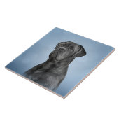 スケッチドッグサトウキビコルソ-マスチイタリアンフ タイル (側面)