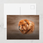 スケッチドッグチャウチャウ ポストカード (正面/裏面)