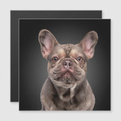 スケッチドッグフランスのブルドッグメモ帳装飾用クッション (正面/裏面)