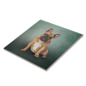 スケッチドッグ·ブルドフランスのッグ タイル (側面)