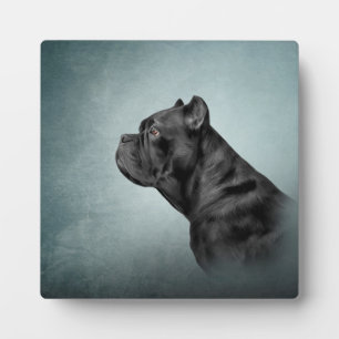 スケッチドッケーンコルソイタリアン- Mastiff フォトプラーク