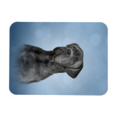 スケッチドッケーンコルソイタリアン- Mastiff マグネット (横)