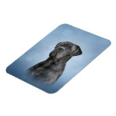 スケッチドッケーンコルソイタリアン- Mastiff マグネット (左側)