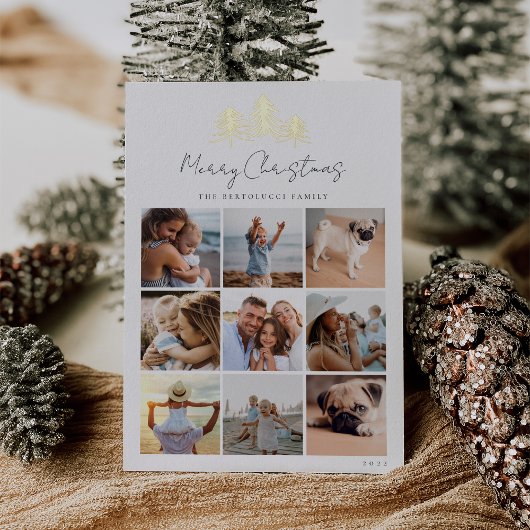 スケッチパインフォトコラージュ 箔シーズンカード