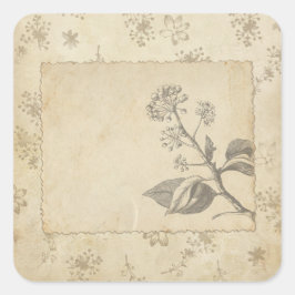 スケッチボタニカルスクラップブックの装飾 スクエアシール