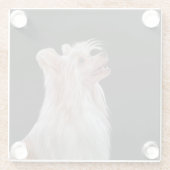 スケッチ中国のトキ犬 ガラスコースター (裏面)