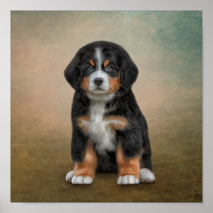 スケッチ子犬ベルネーズマウンテンドッグ ポスター